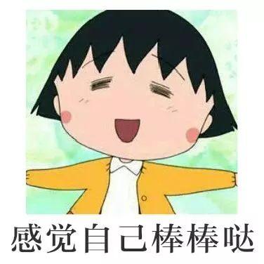 轻指南：如何开始做一家猫舍？