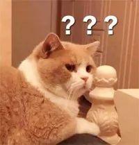 为什么同一屋檐下的两只猫，有的和睦相处，有的互相伤害？