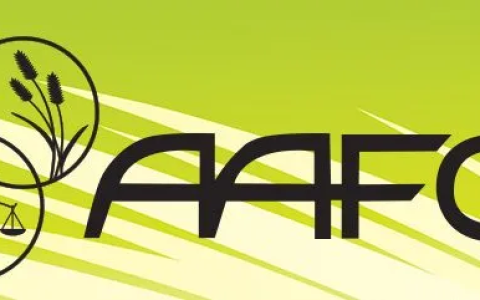 我应该给我的猫吃什么？