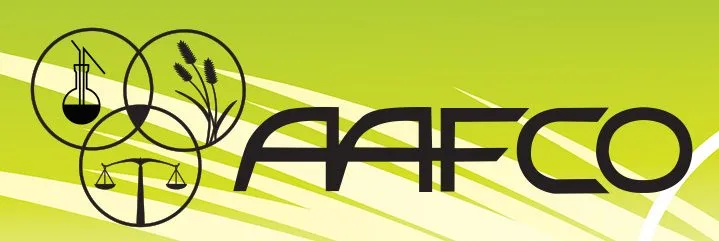 我应该给我的猫吃什么？