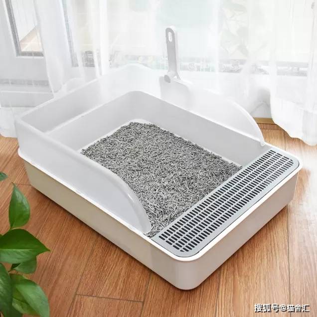 猫舍必备物品清单