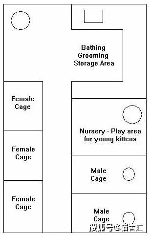 如何做猫舍│猫舍的设计规范