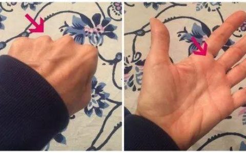 如何给一只胖猫减肥