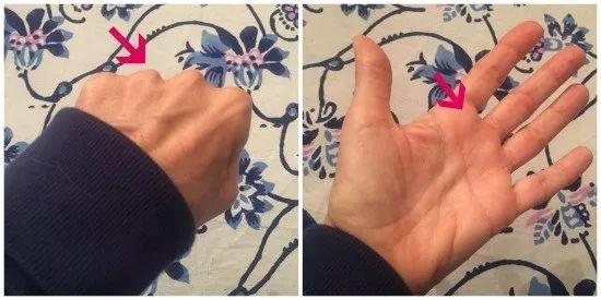 如何给一只胖猫减肥