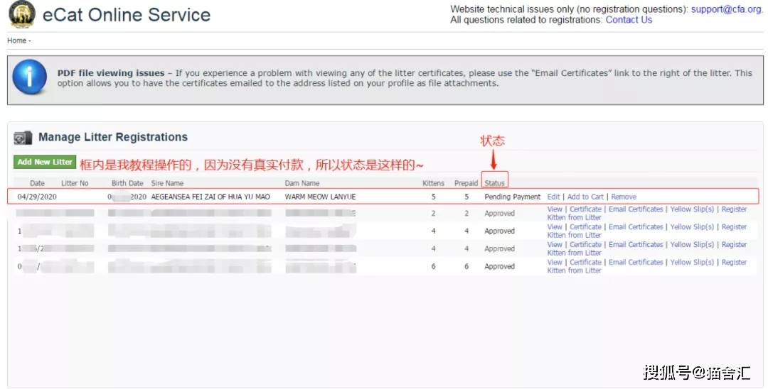 如何做猫舍│CFA猫舍协会证书注册