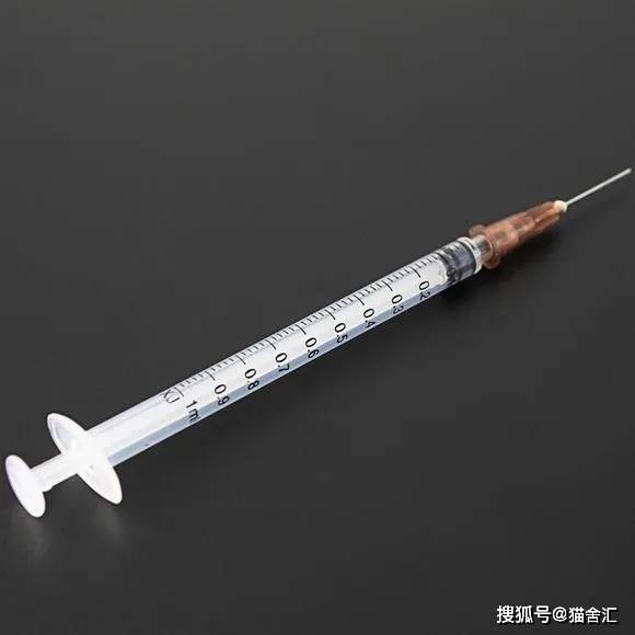 如何做猫舍│怎么给猫打针？繁育人必学的注射方法