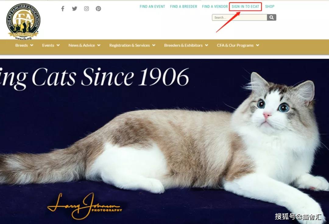 如何做猫舍│CFA猫舍协会证书注册