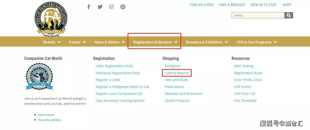 如何做猫舍│CFA猫舍协会证书注册