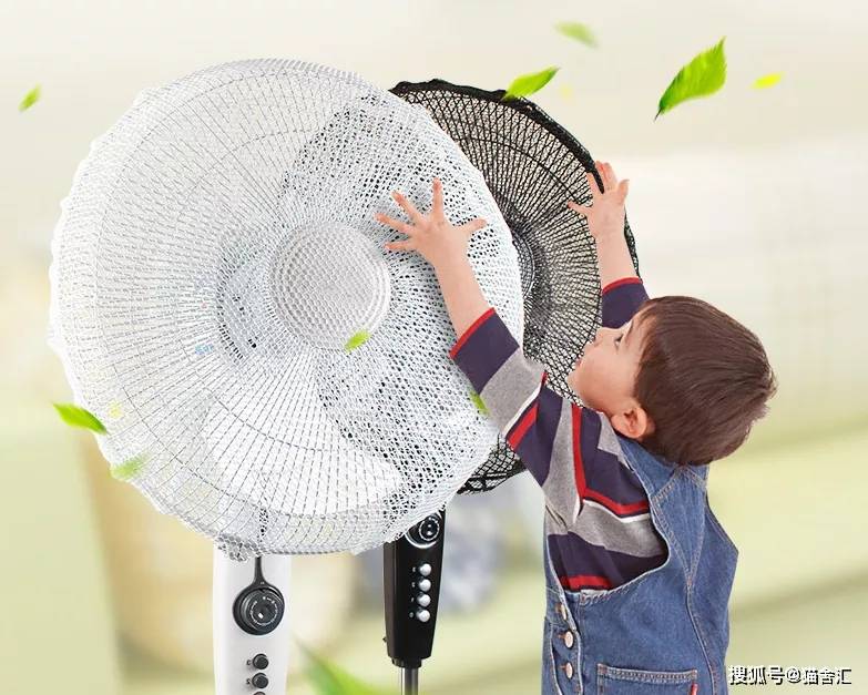 如何做猫舍│猫舍的卫生管理