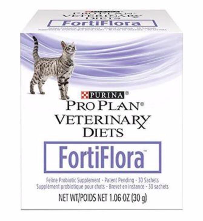 7 种可以帮助猫咪食欲大增的食物