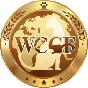 WCCF的头像